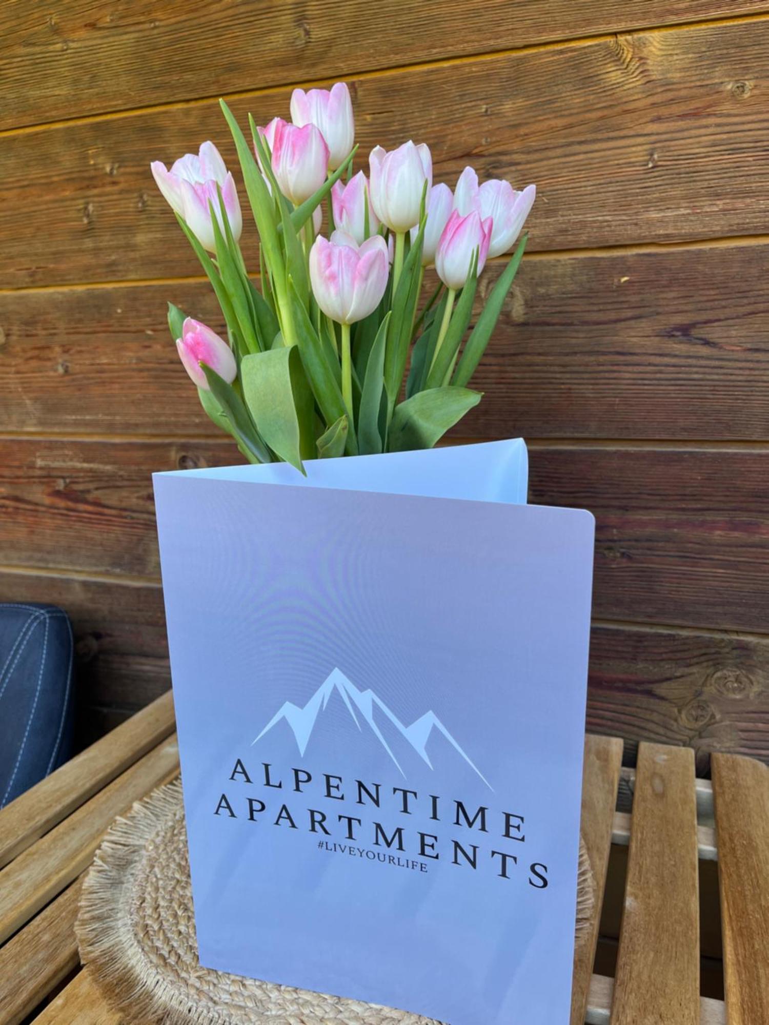 Alpentime Apartments Neustift im Stubaital Exteriér fotografie